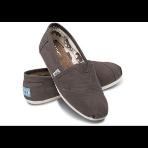 NWT TOMS Classics Ash Canvas Size 6